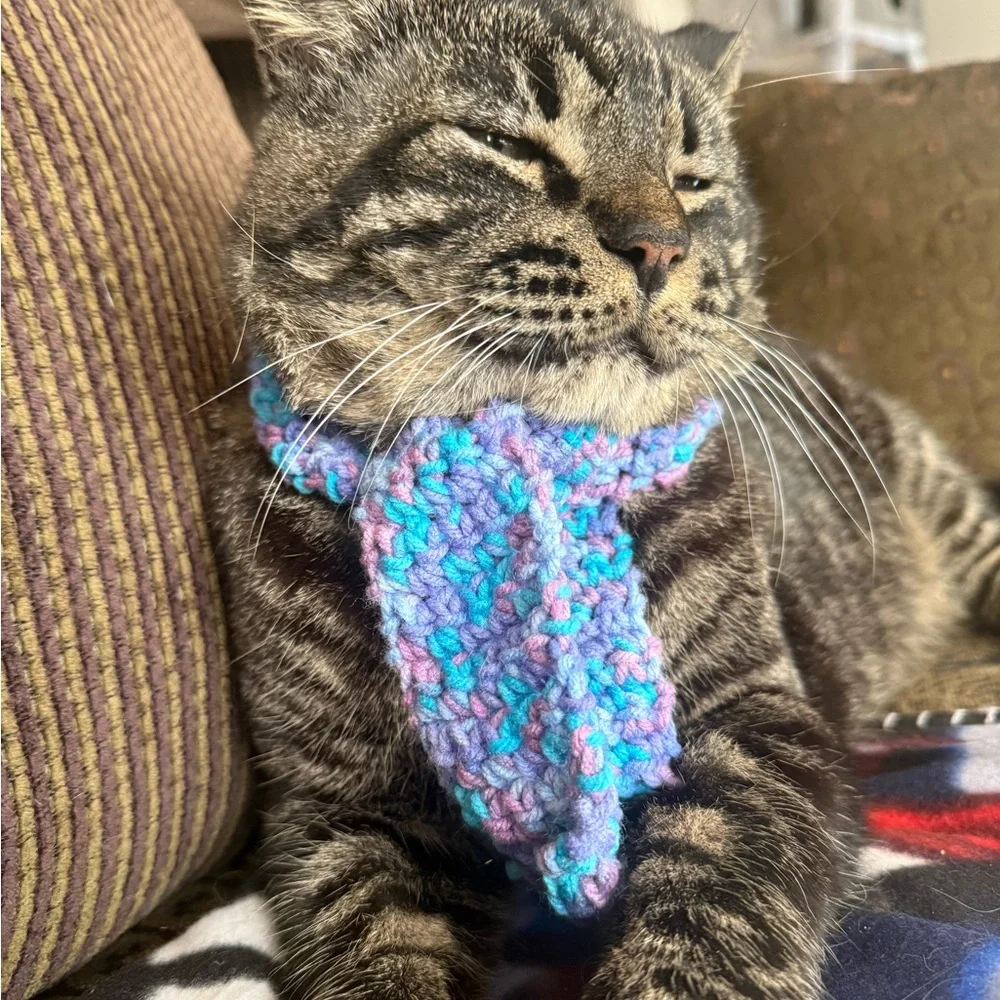 Cozy Blue and Purple Cat / Small Dog Scarf